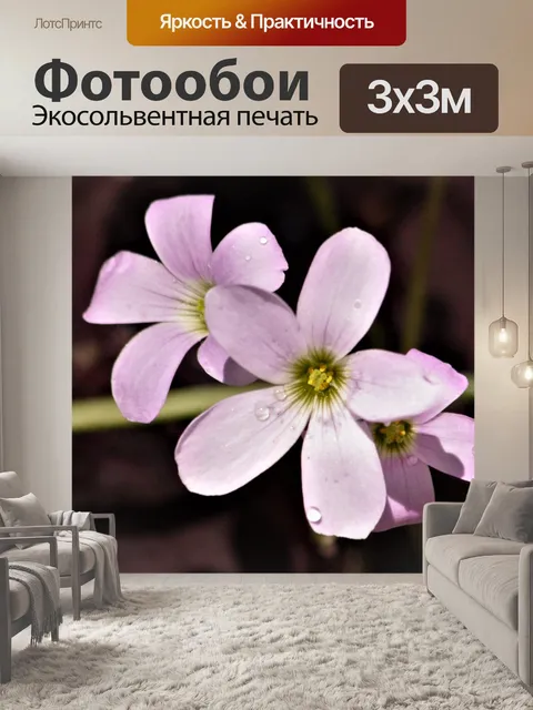 Фотообои Фиолетовые цветы трилистника крупным пла