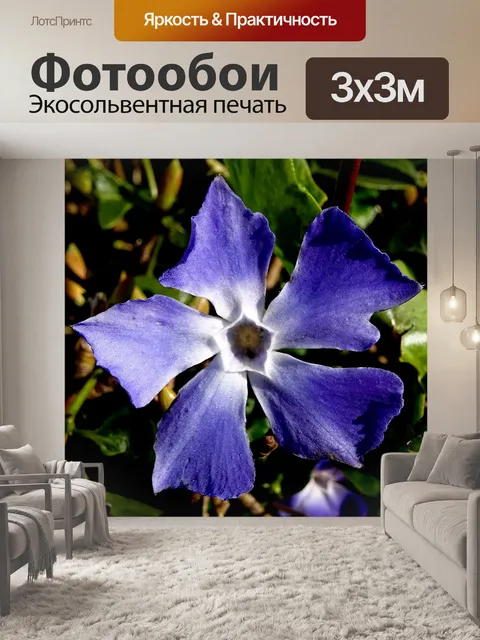 Фотообои Красивый сиреневый фиолетовый цветок