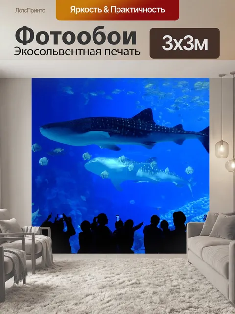 Фотообои Подводный