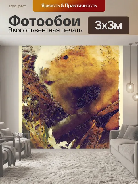 Фотообои бобр