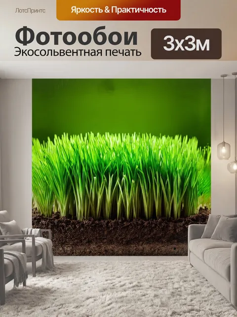 Фотообои рус
