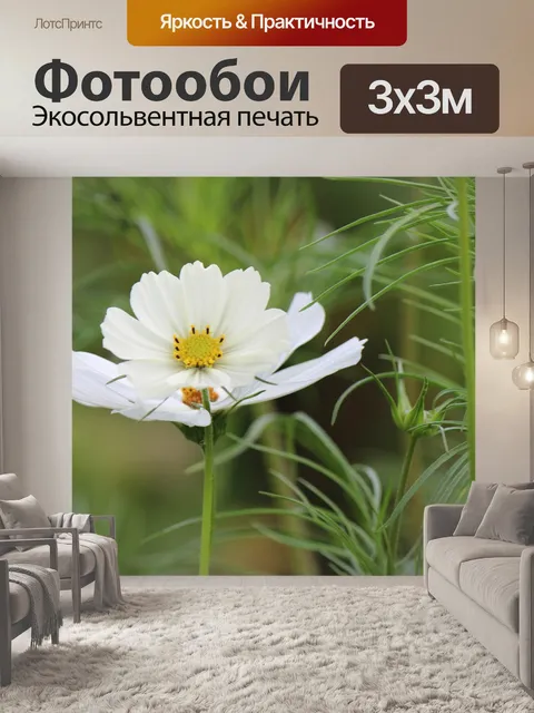 Фотообои Космос