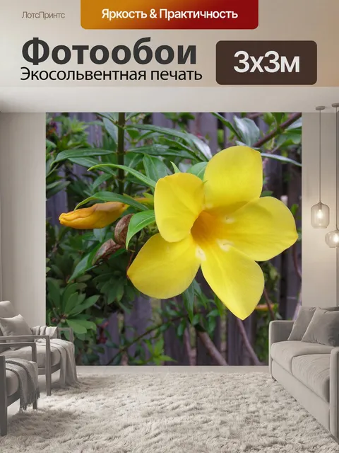 Фотообои Желтый