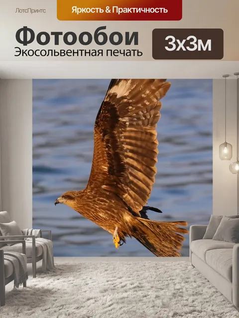 Фотообои Птицы