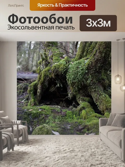 Фотообои Дерево