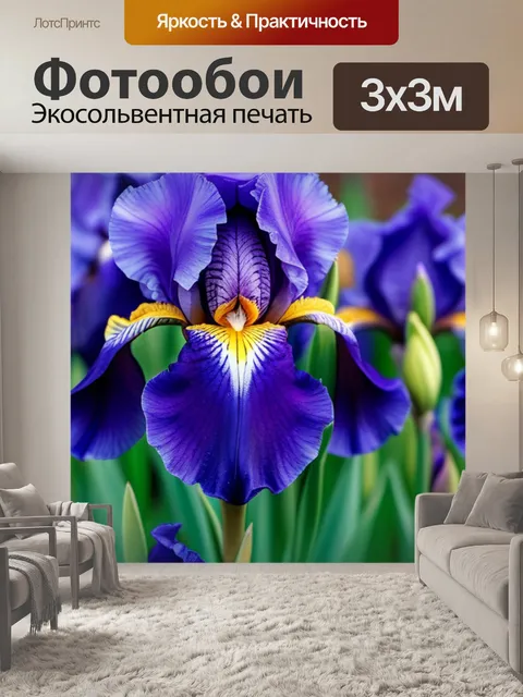 Фотообои с ирисами