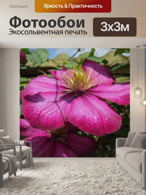 Фотообои Цветок