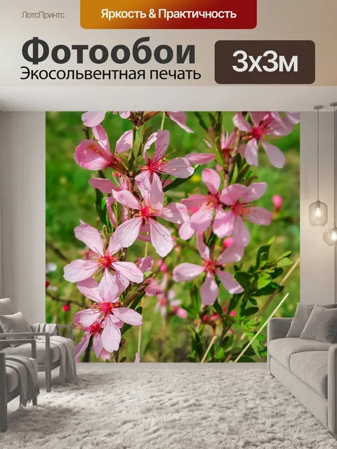Фотообои розовые цветы миндаля