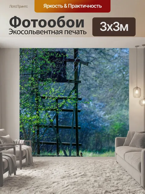 Фотообои Опушка леса