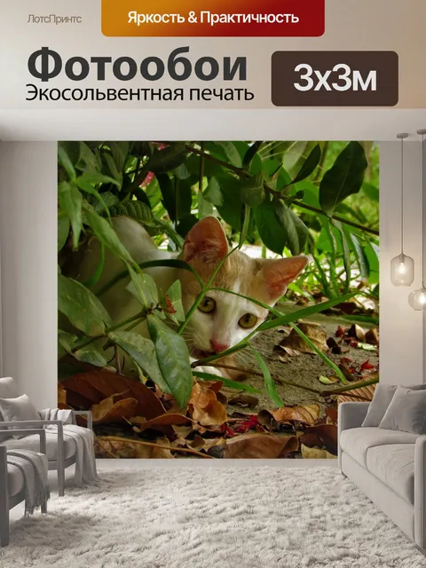 Фотообои Кошка