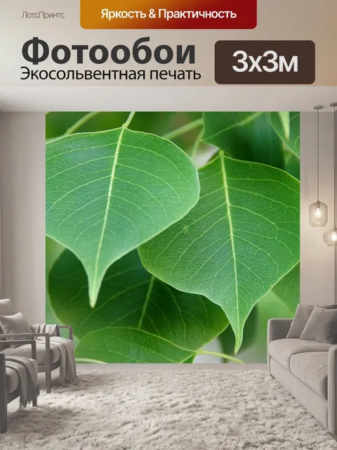 Фотообои Зеленые листья узор фона
