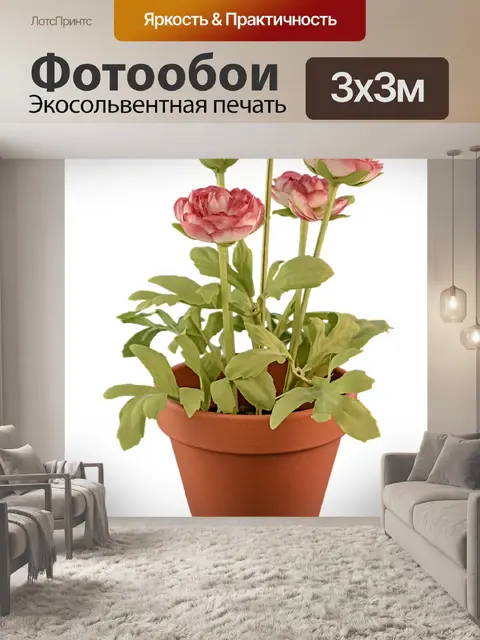 Фотообои Прозрачный