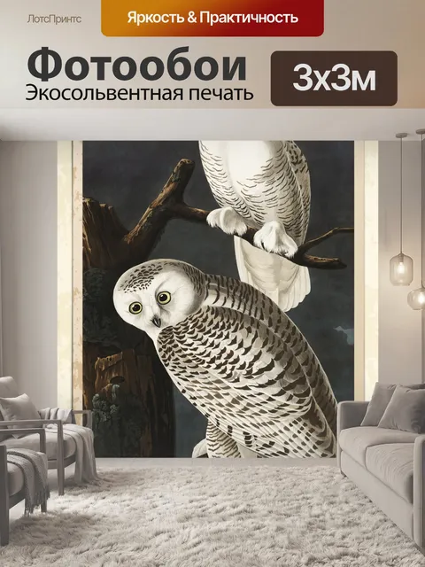 Фотообои Снежная сова хищная птица винтаж