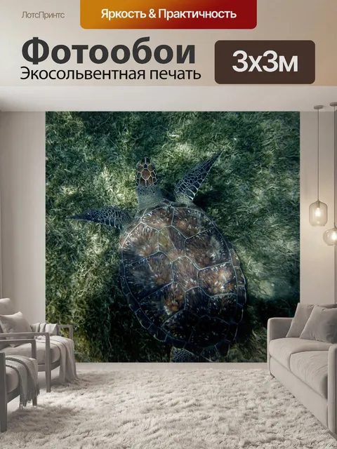 Фотообои Черепаха