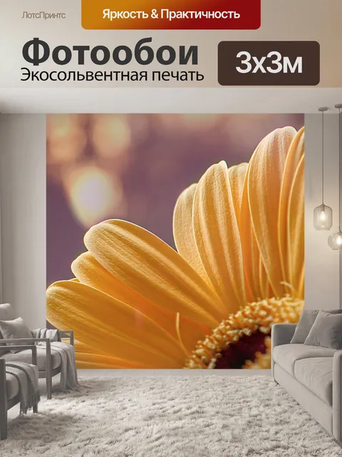Фотообои Гербера Цветок Цветок Макро