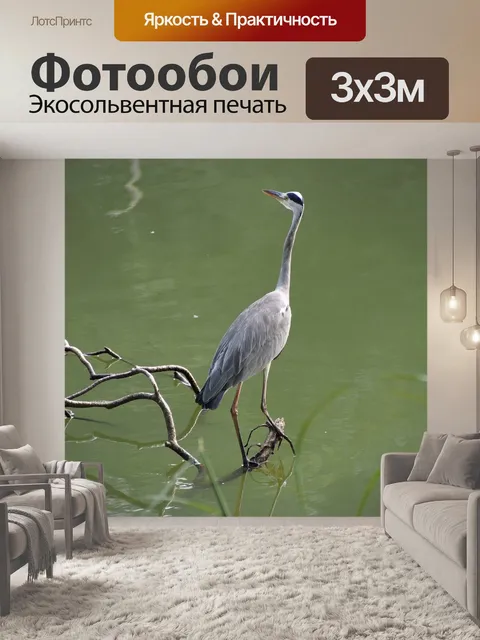 Фотообои Цапля