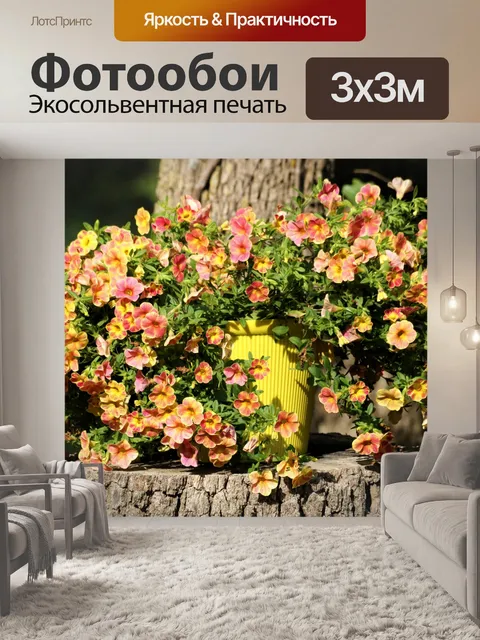 Фотообои Розовые и желтые петунии в горшке