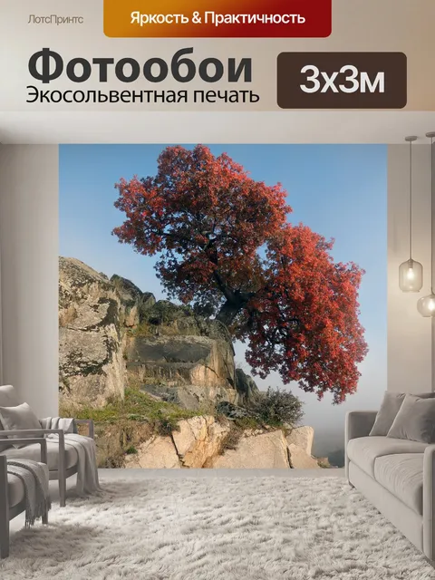 Фотообои Дерево