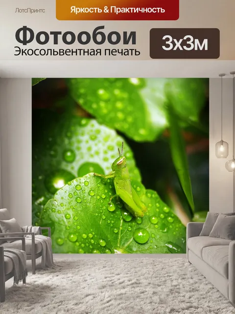 Фотообои Лист