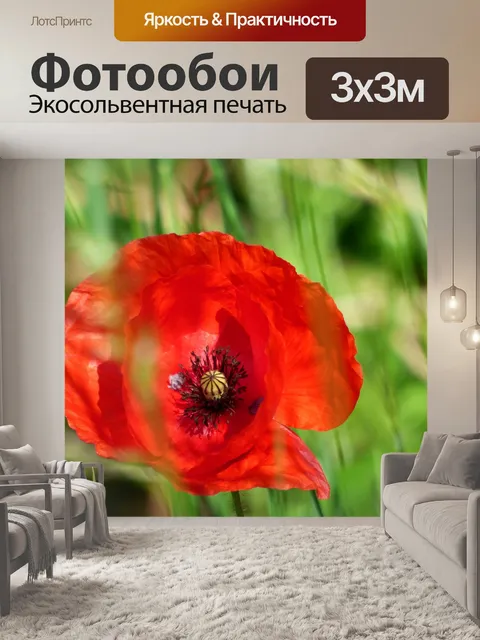 Фотообои Цветок