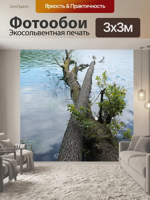 Фотообои Ствол дерева