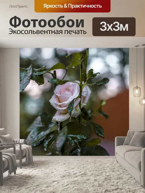 Фотообои Цветок