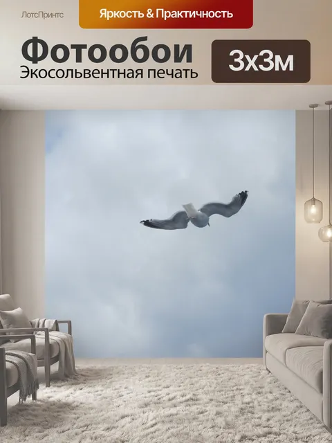Фотообои Чайка