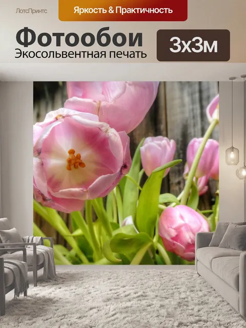 Фотообои Розовые тюльпаны