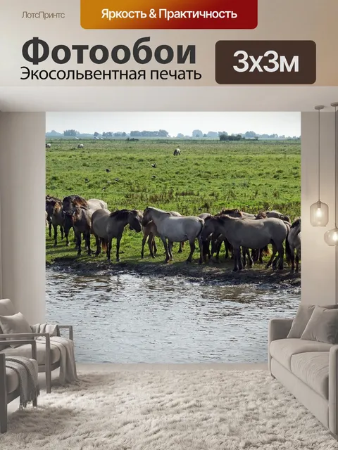 Фотообои Дикие лошади