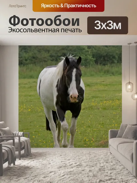 Фотообои Лошадь