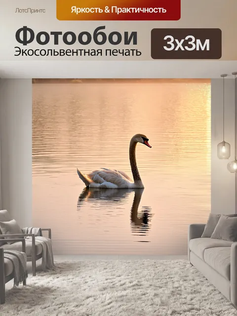 Фотообои лебедь, плавающий по спокойным водам озера на рассвете, окруженный туманом и отражением нежного света в воде