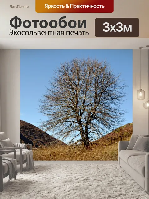 Фотообои Осень