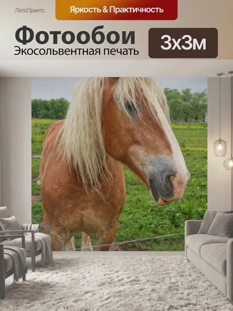 Фотообои Золотисто-коричневая фермерская лошадь а