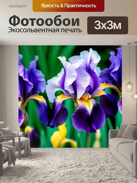 Фотообои с ирисами