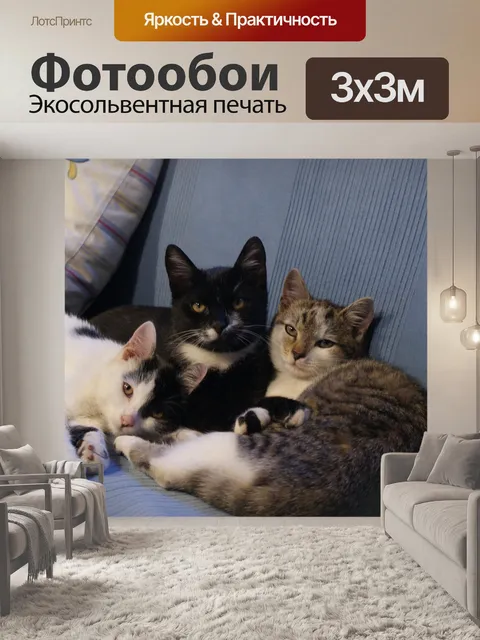 Фотообои Кошки