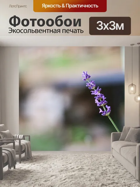 Фотообои Лаванда