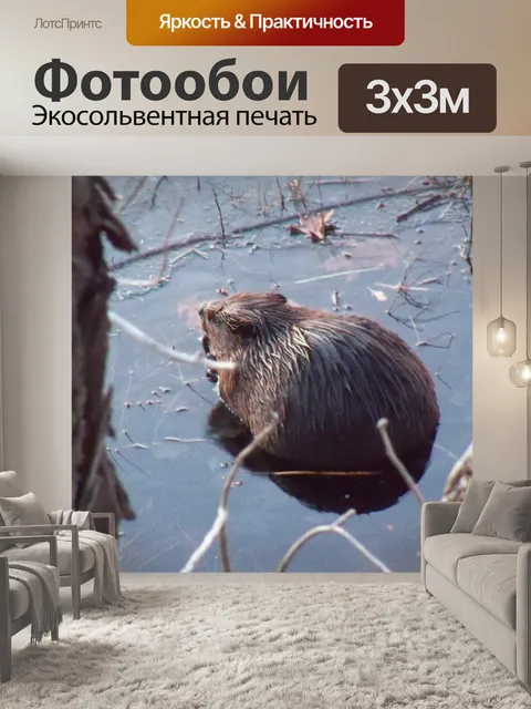 Фотообои Оставьте его в Beaver