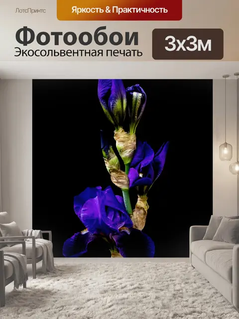 Фотообои Цветы, бутоны, минимализм
