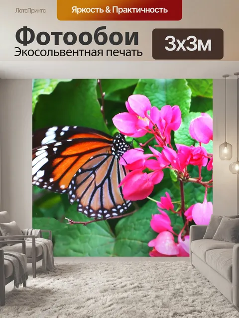 Фотообои Бабочка