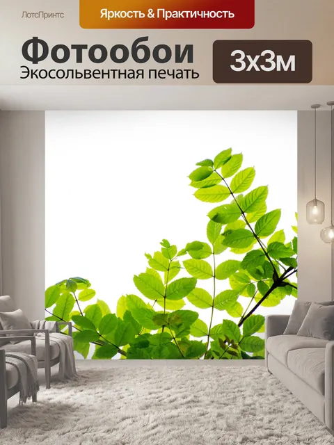 Фотообои зеленые листья и ветви
