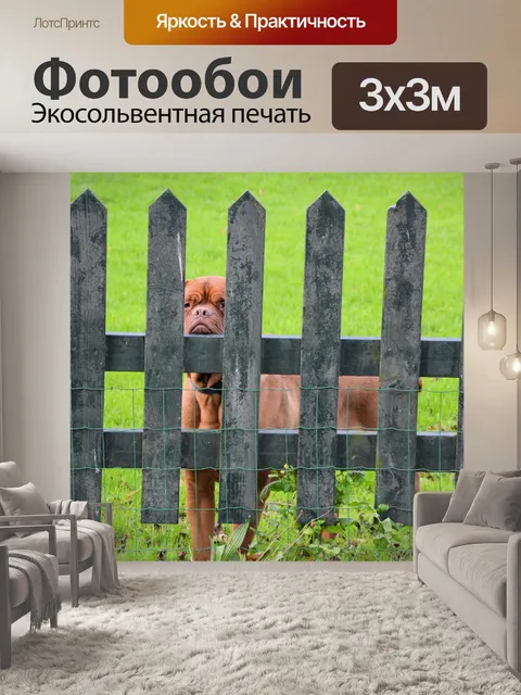 Фотообои игра в прятки