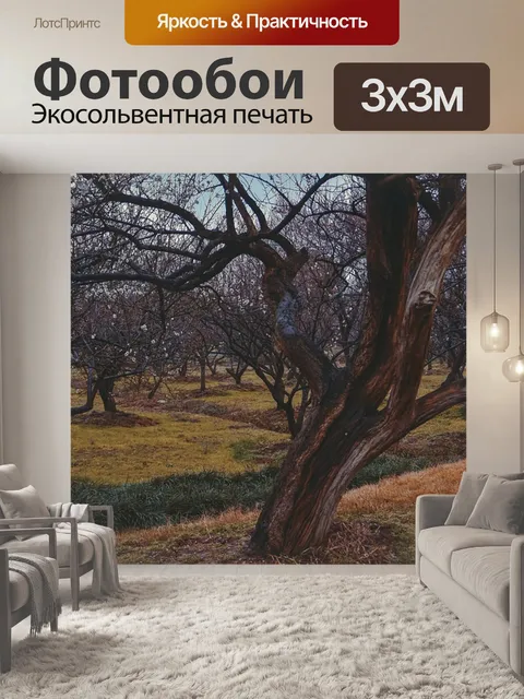 Фотообои Китайский стиль