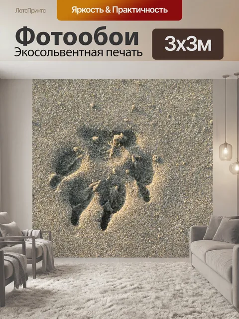 Фотообои След