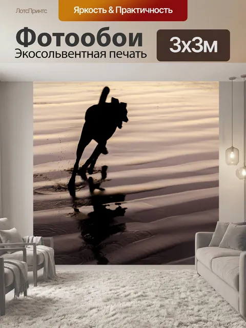 Фотообои Собака