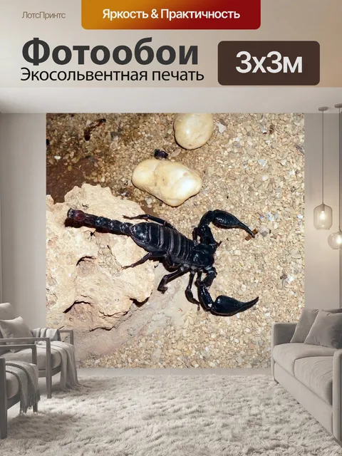 Фотообои Скорпион