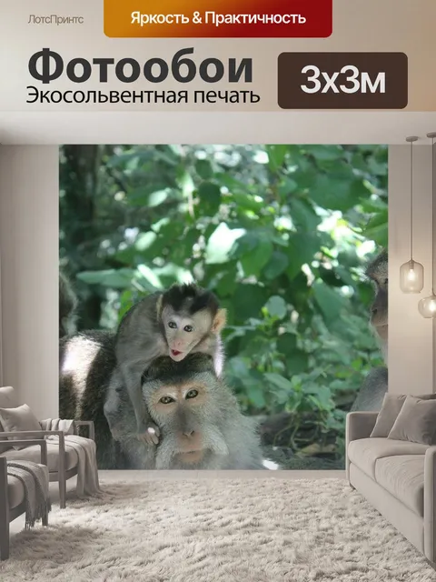 Фотообои Бали