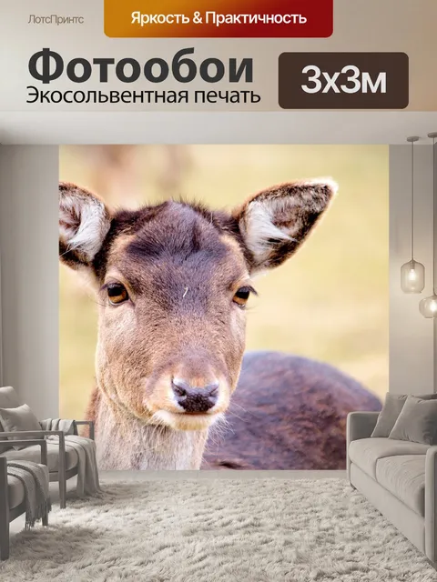 Фотообои Олень