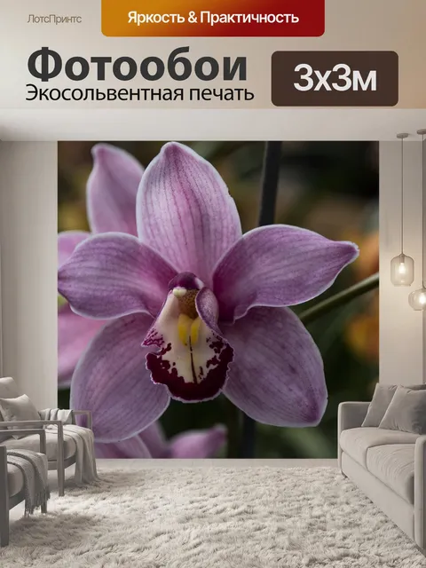 Фотообои Цимбидиум Орхидея
