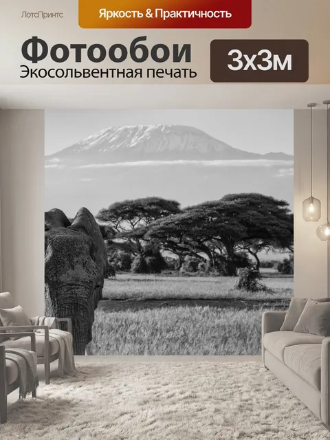 Фотообои Килиманджаро