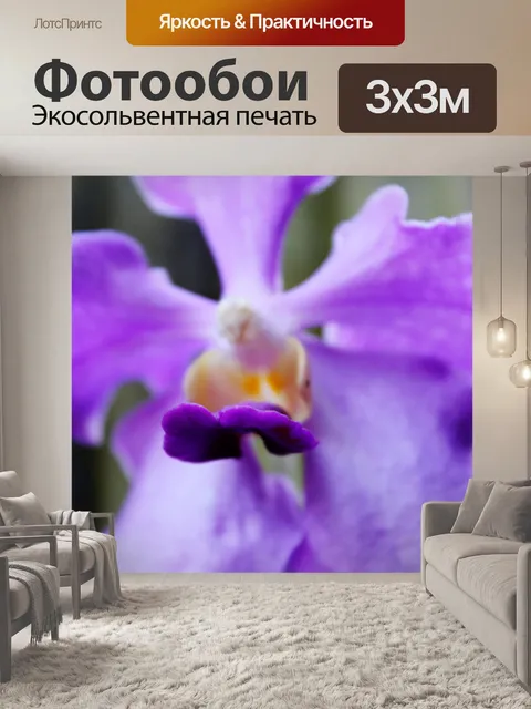 Фотообои фиолетовых орхидей макрос